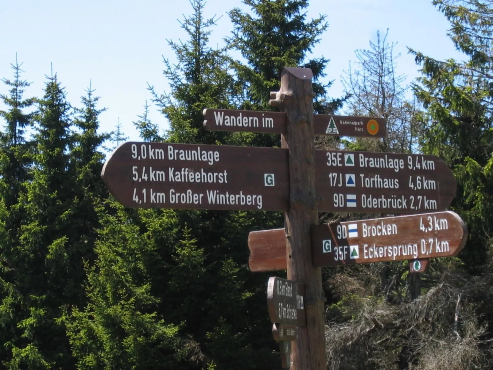 Wohnung in Bad Harzburg mit Garten-Outside