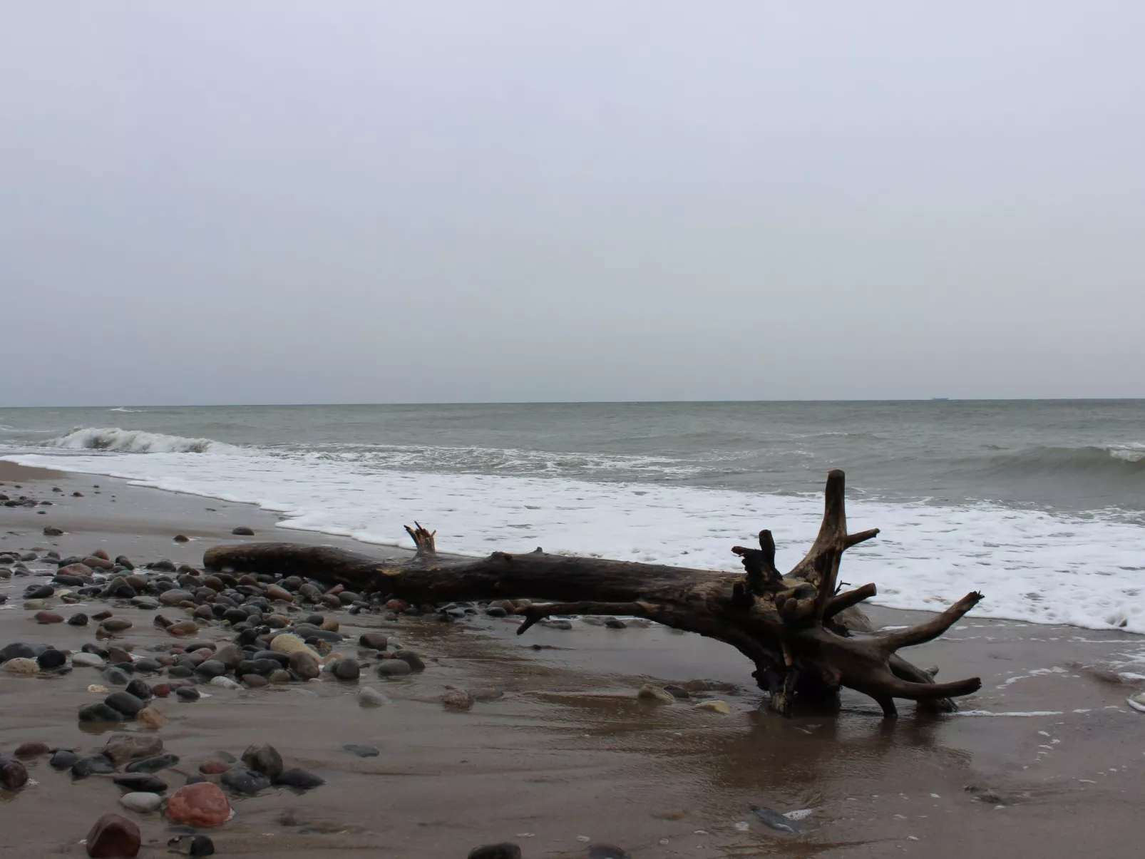 In Dranske an der Ostseeküste Rügens-Draußen