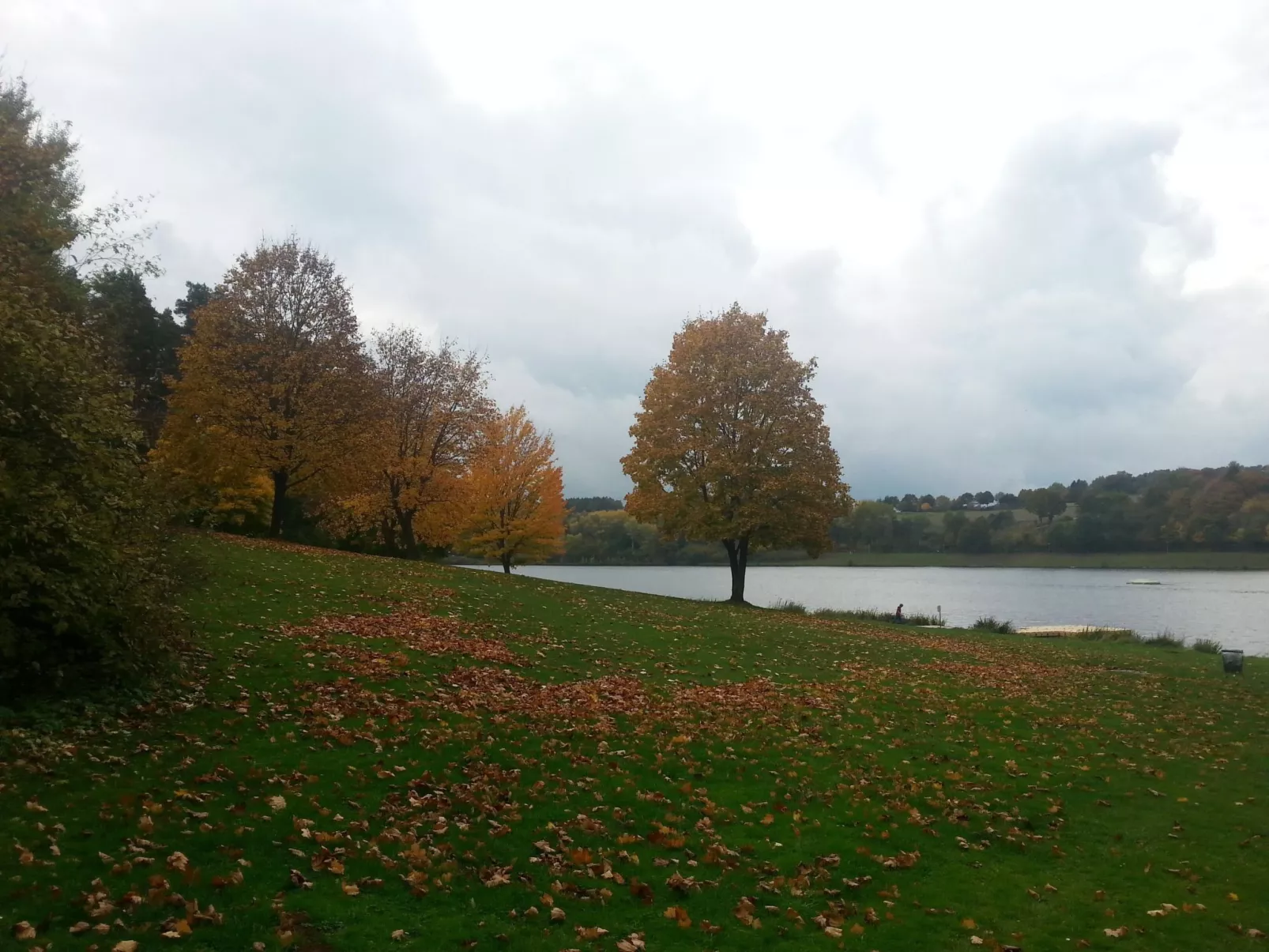 Wunderschönes Ferienhaus am Waldrand-Outside