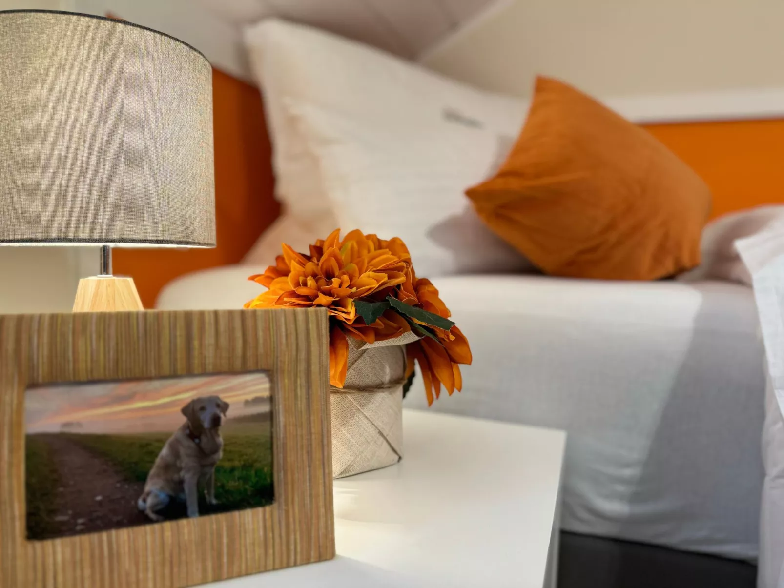 Zandtissimo79-Inside