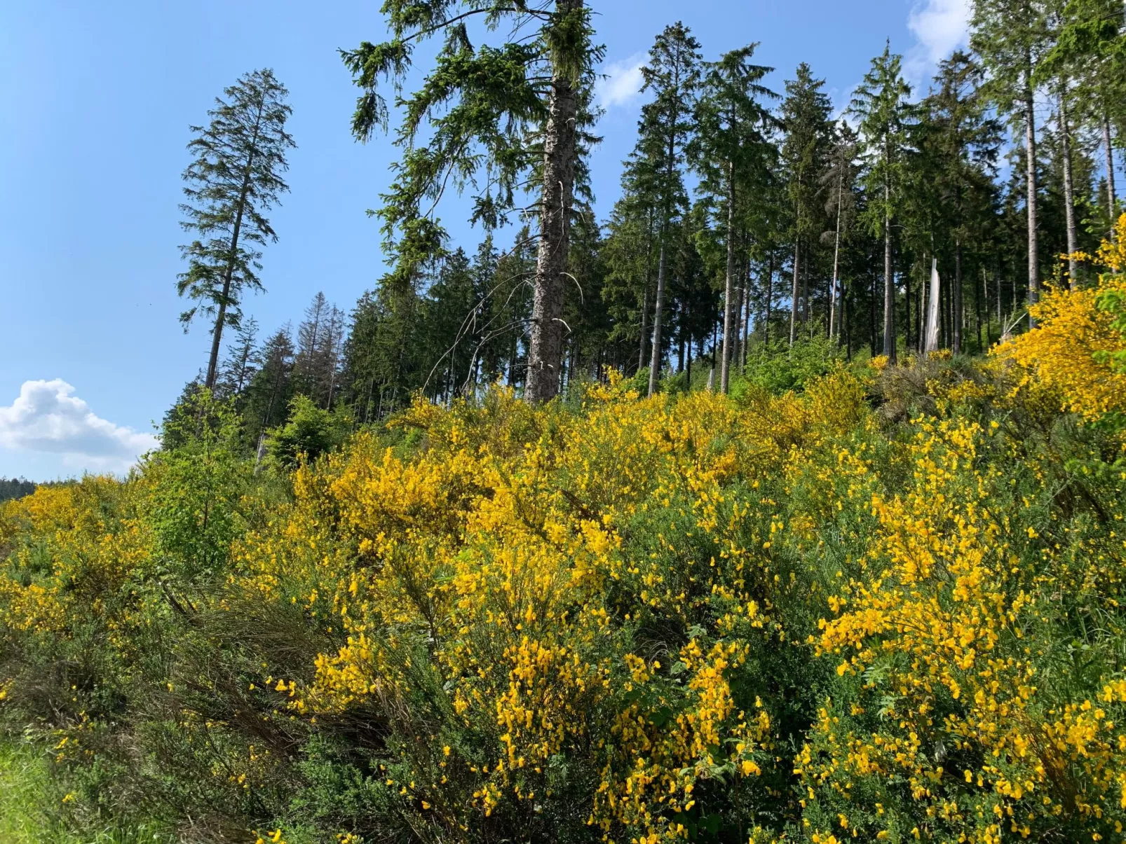 Mit eigener Terrasse-Outside