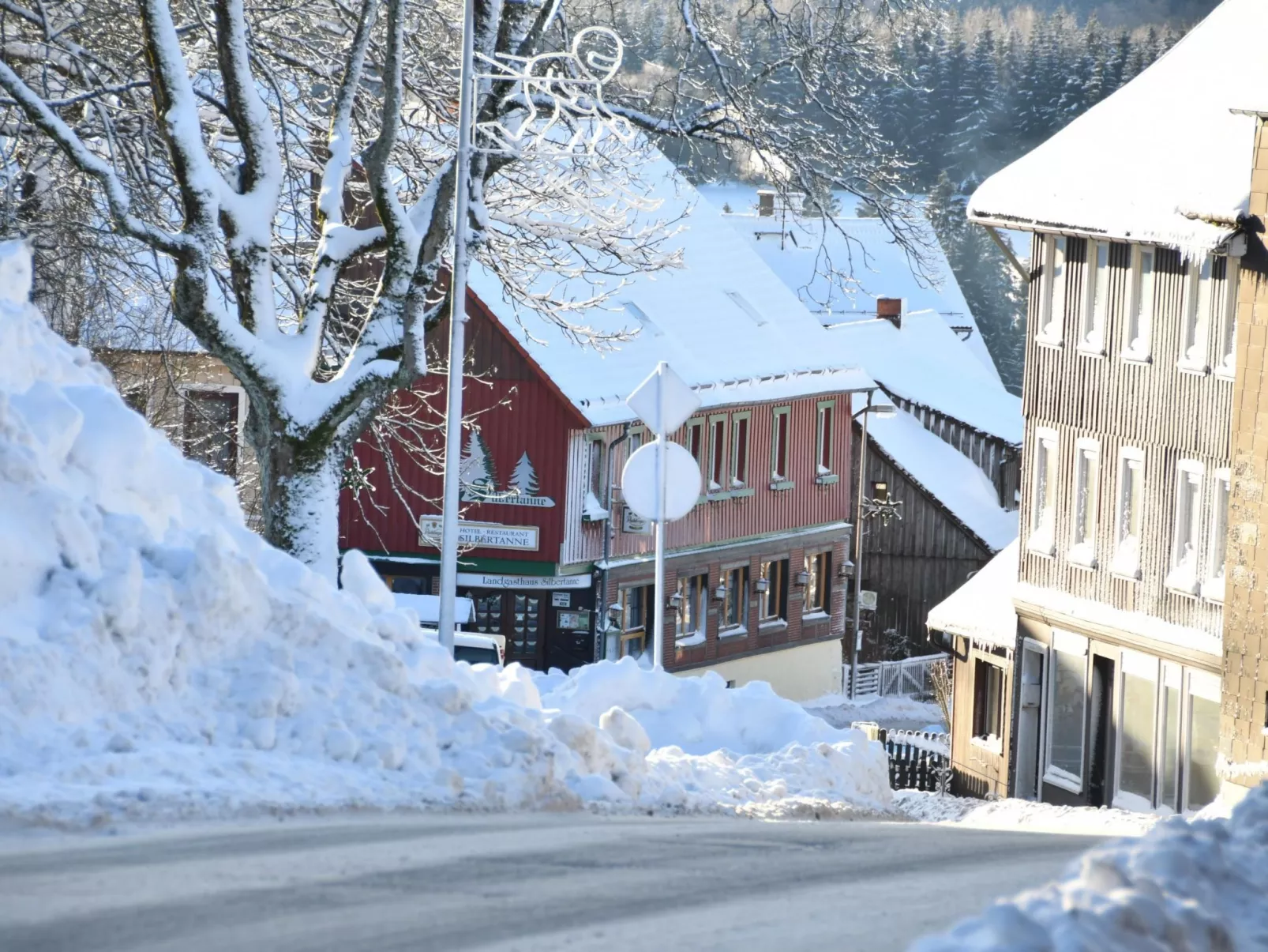 Wohnung in Hohegeiß mit Grill und Garten-Draußen