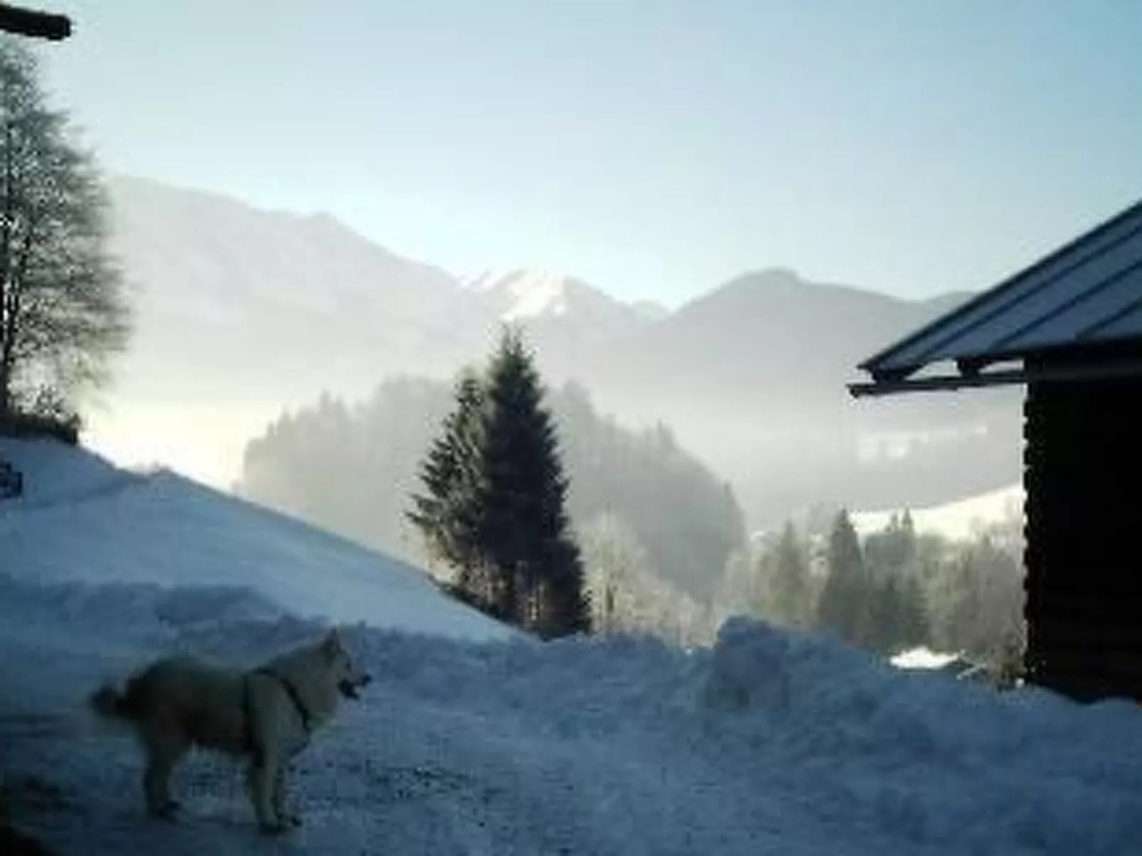 Falkenberg Nr. 114-Image-tags.info