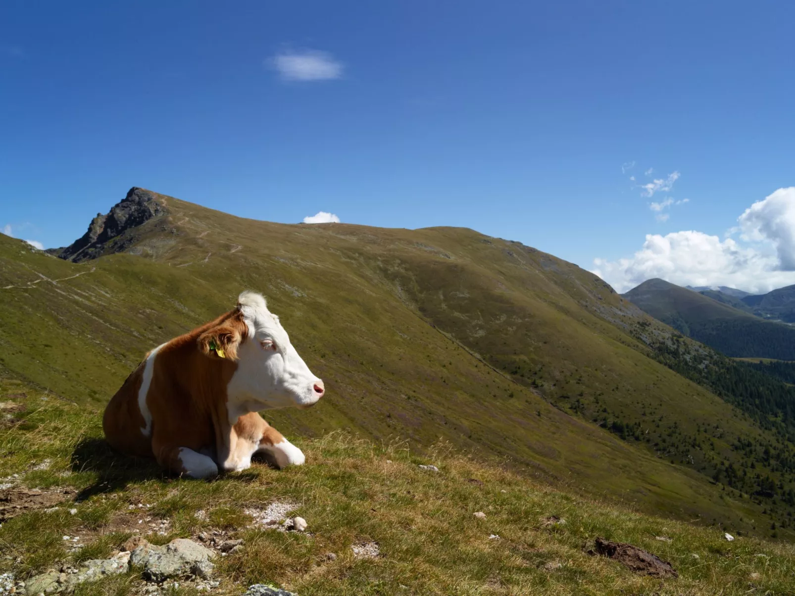 App Typ C - bis 6-Outside