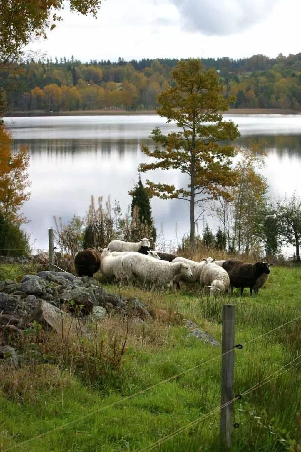 Haus mit toller Aussicht an einem schönen See-Dehors