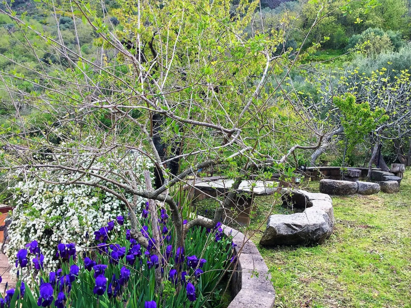 Orange Wohnung-Dehors