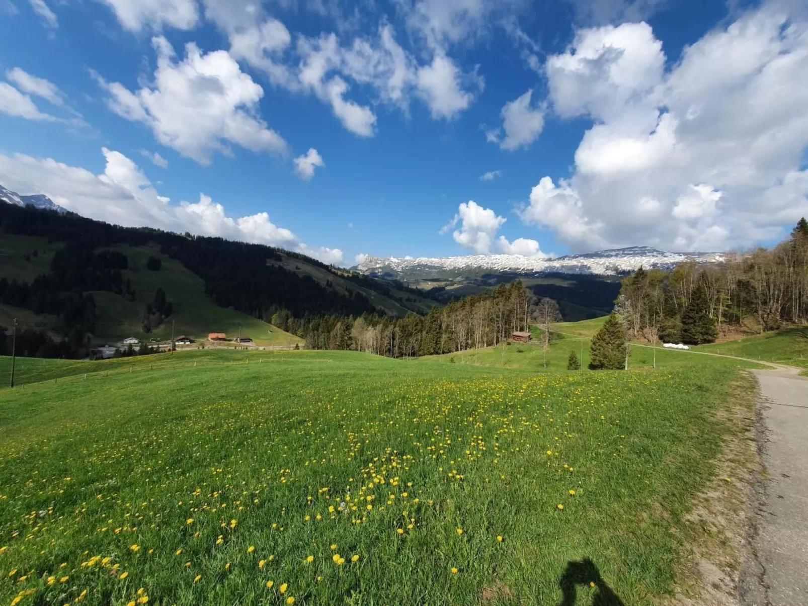 Kolibri Hochparterre-Outside