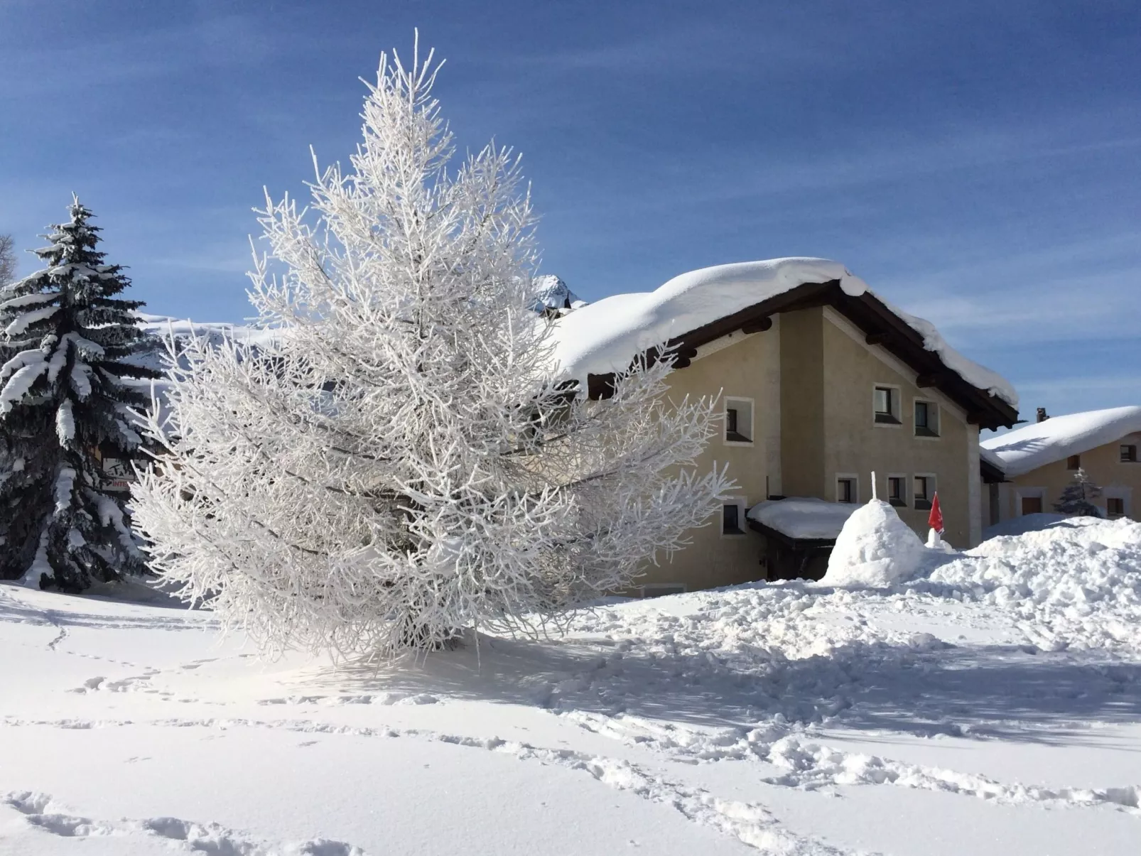 Muntanella Och-Image-tags.info