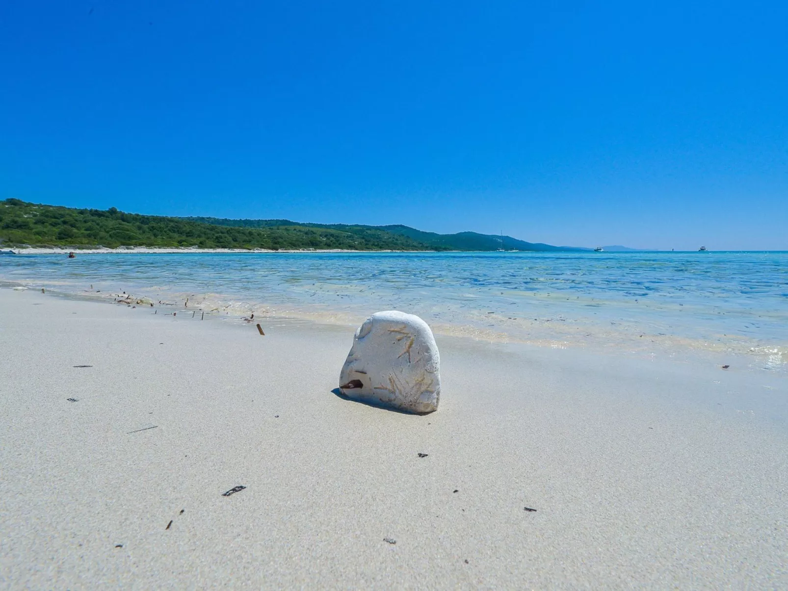"Sakarun" mit Blick auf das Wasser-Image-tags.info