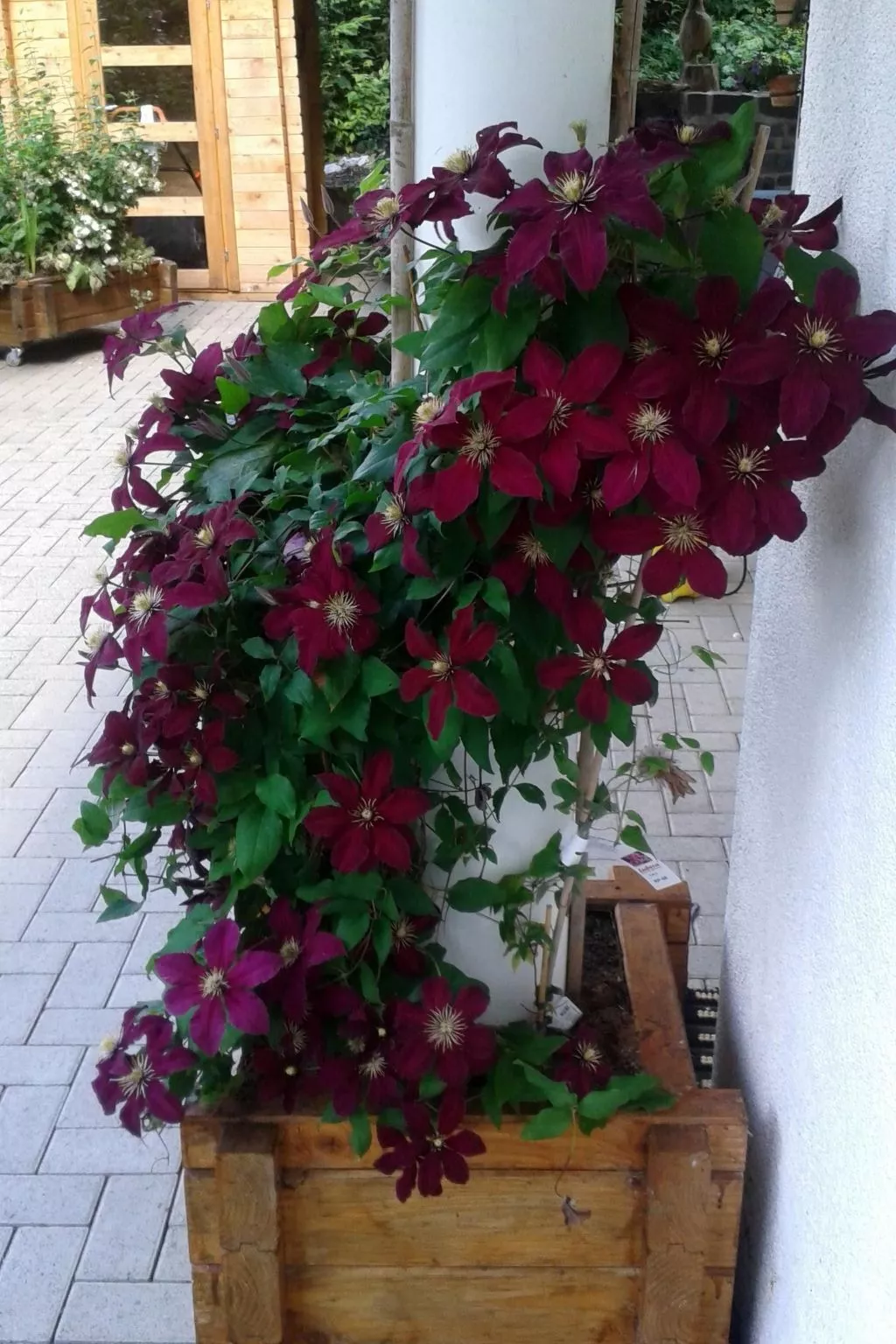 Harz-Haus-Bruns-Draußen