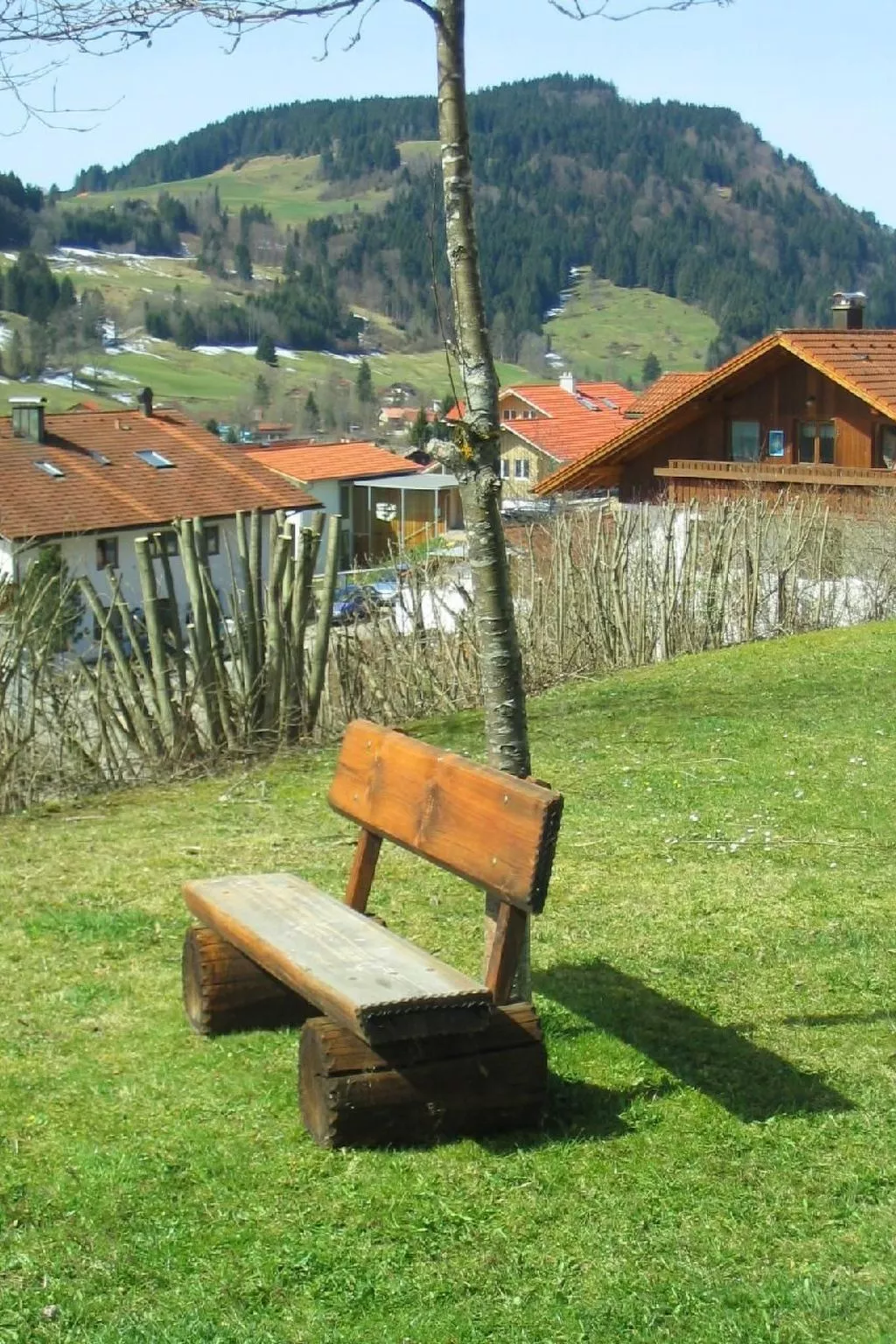 Alpkönig - Draußen