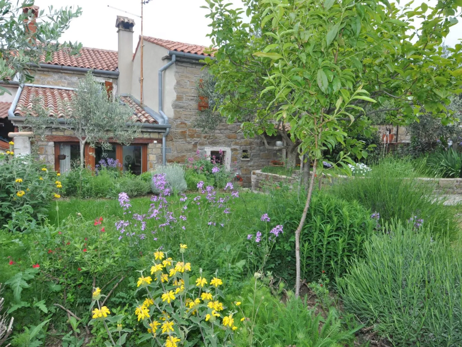 Istrisches Steinhaus-Image-tags.info