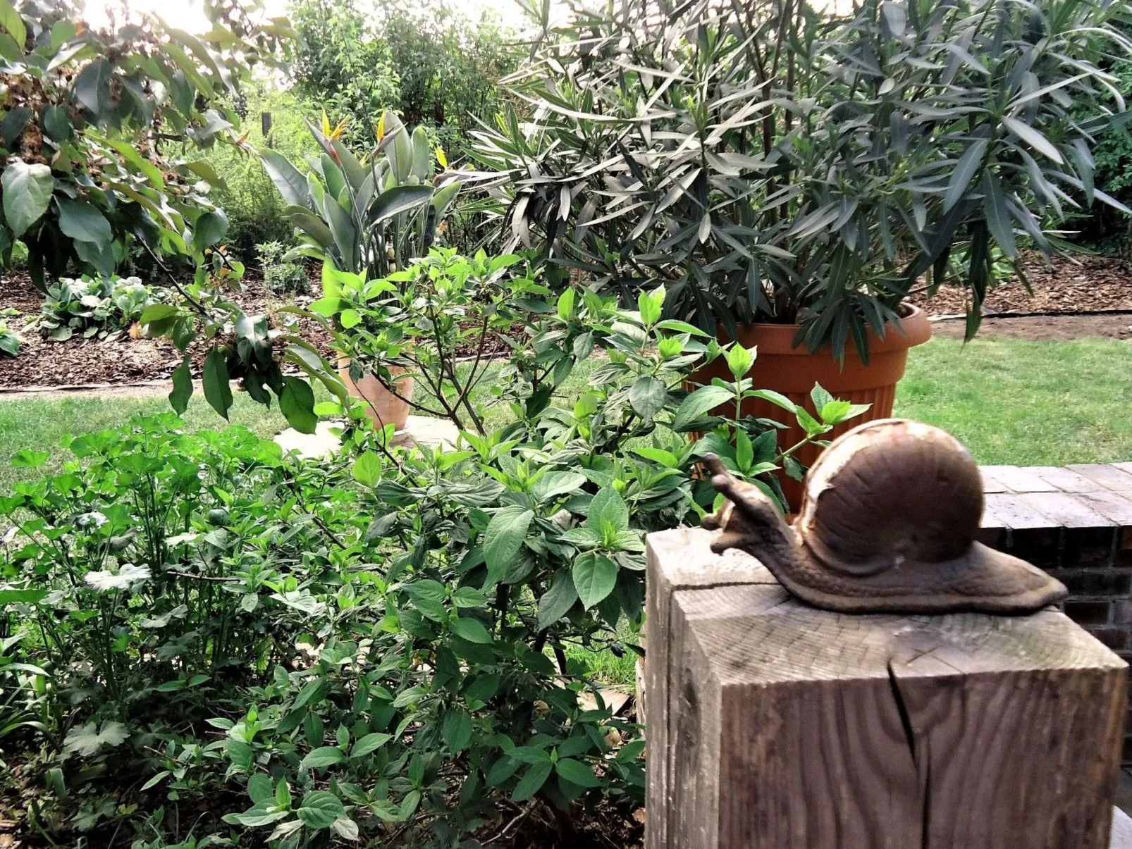 In ruhiger Lage am Waldrand-Outside