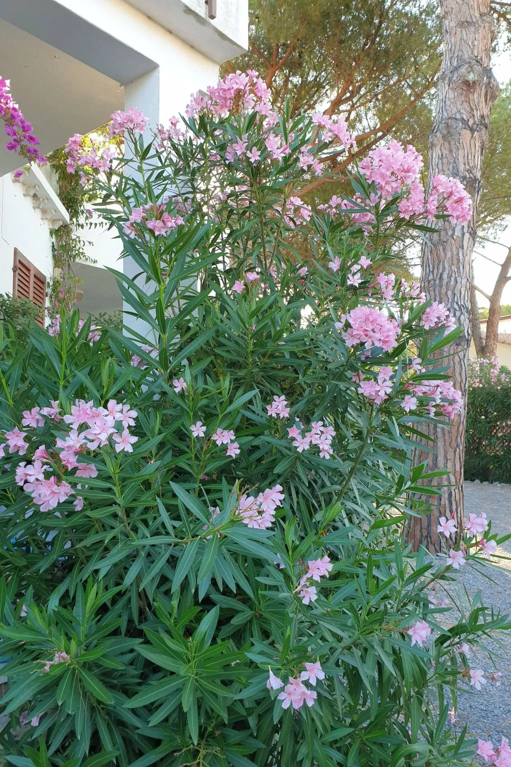 Direkt am Wasser-Outside