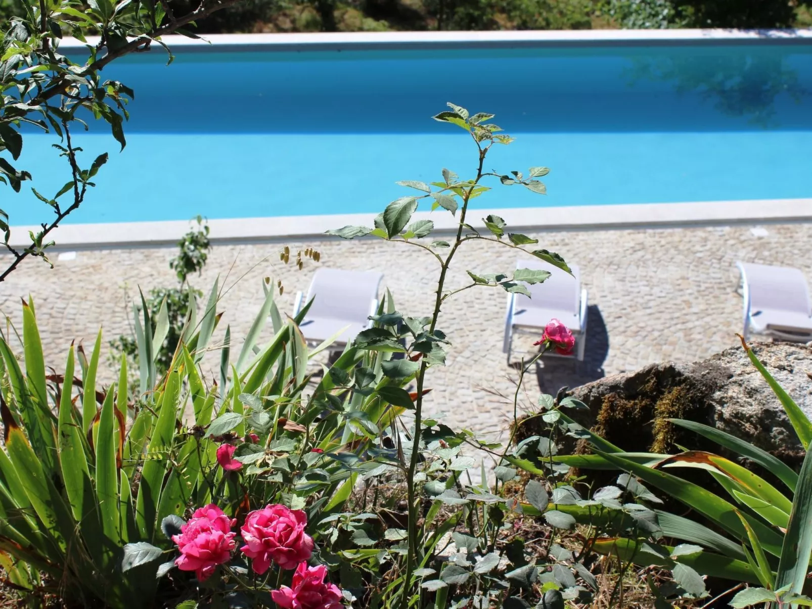 Renoviertes Landhaus für 4 Personen in Tondela-Draußen