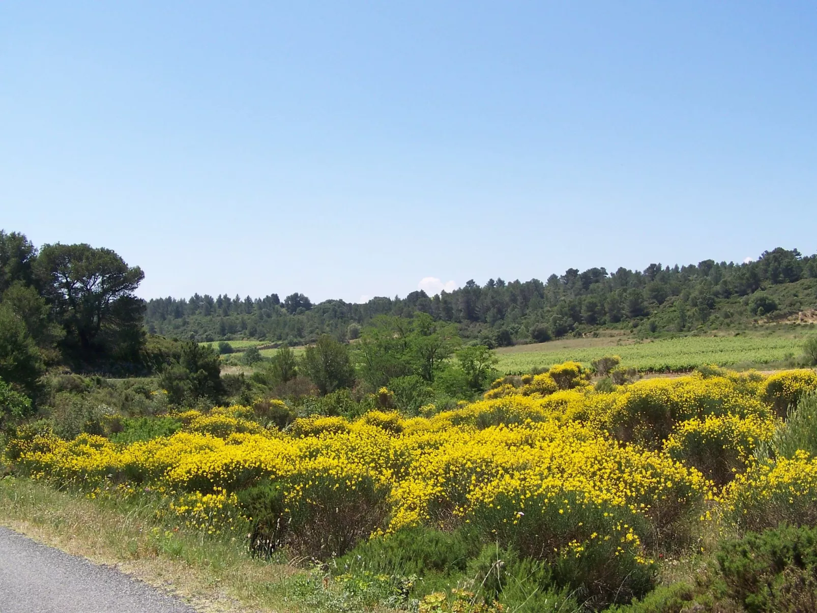 Studio Onida-Outside