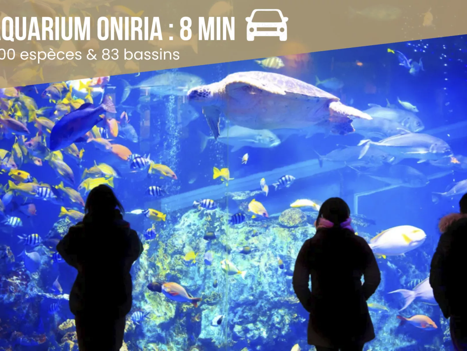 Dreamy Lodge - Genuss, Strand in 100m-Outside