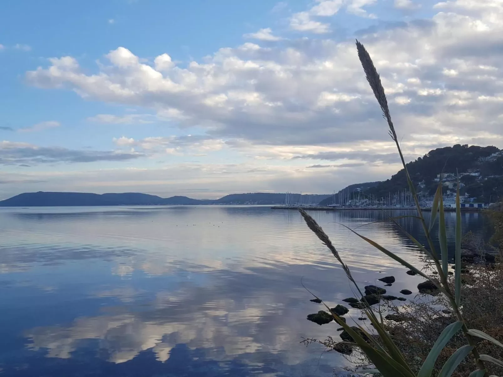 Eine kleine Ecke der Provence. Privater beheizter Pool-Dehors