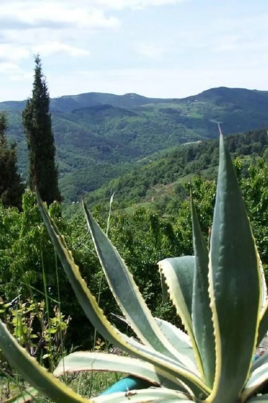 Gîte de Chapelèche Les Châtaigniers für 7 Pers.-Outside