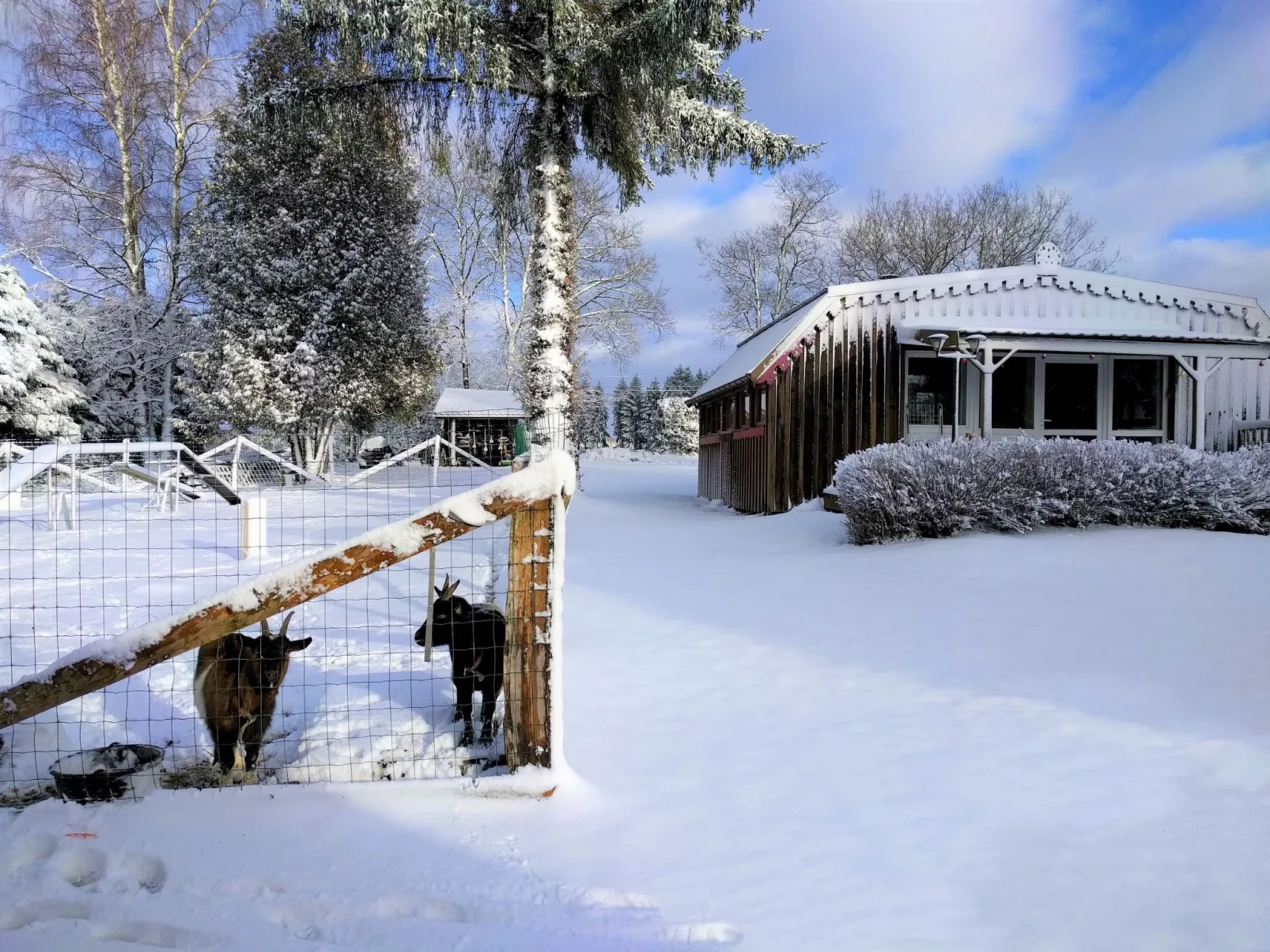 Charmantes Ferienhaus mit gemeinsamem Grill-Draußen
