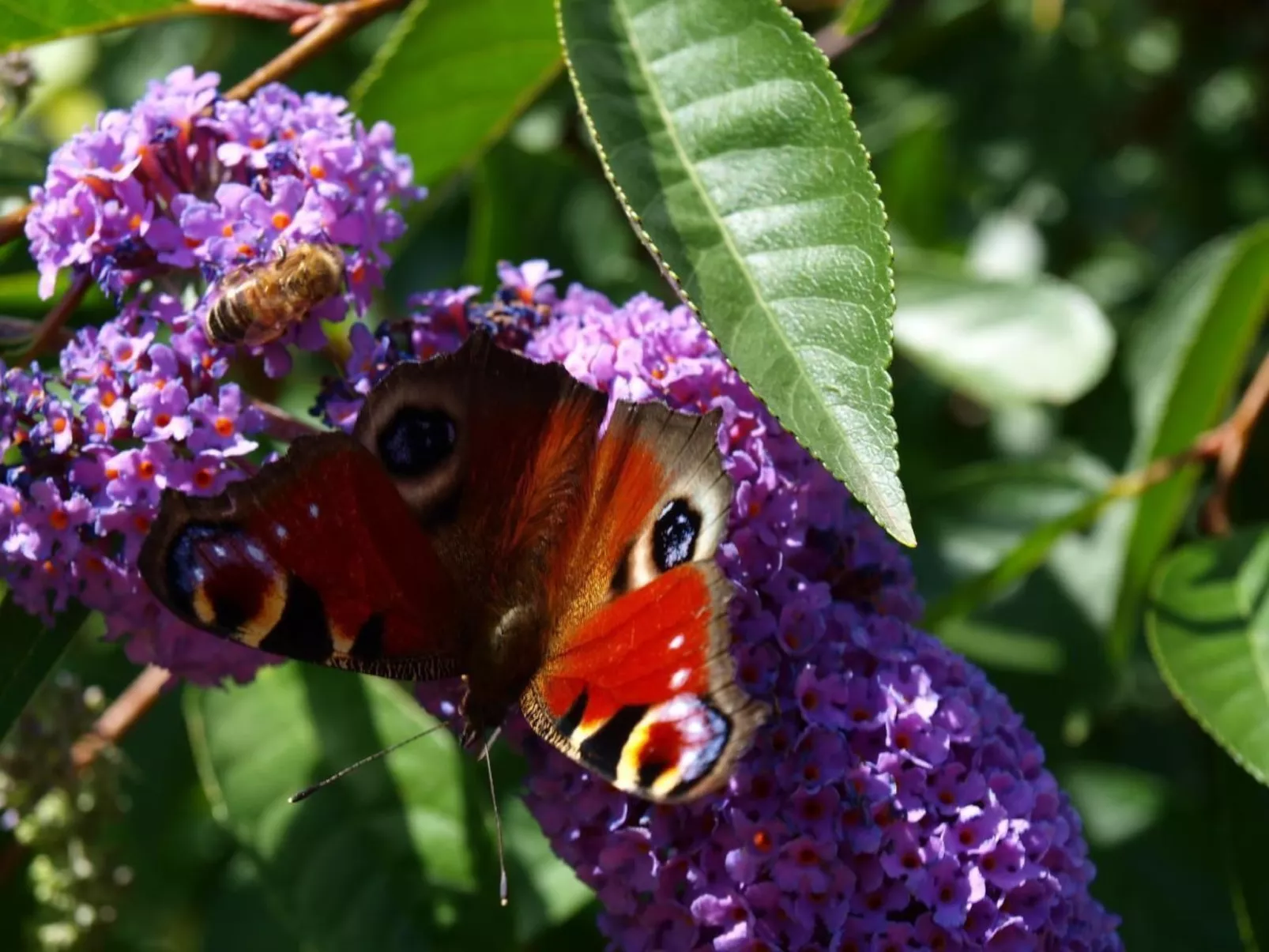 Le Château d'Eau-Outside