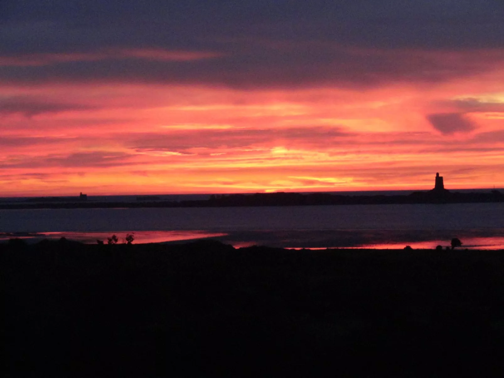 "L'Eucalyptus-Dehors