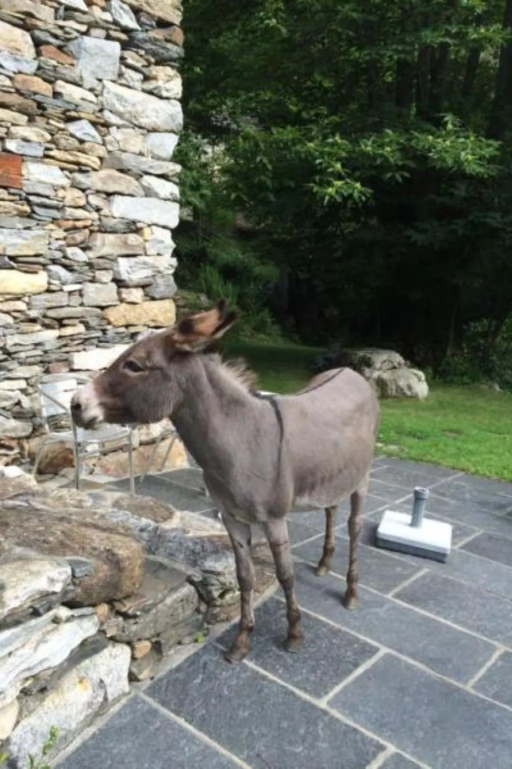 Weg von der Zuvielisation-Draußen