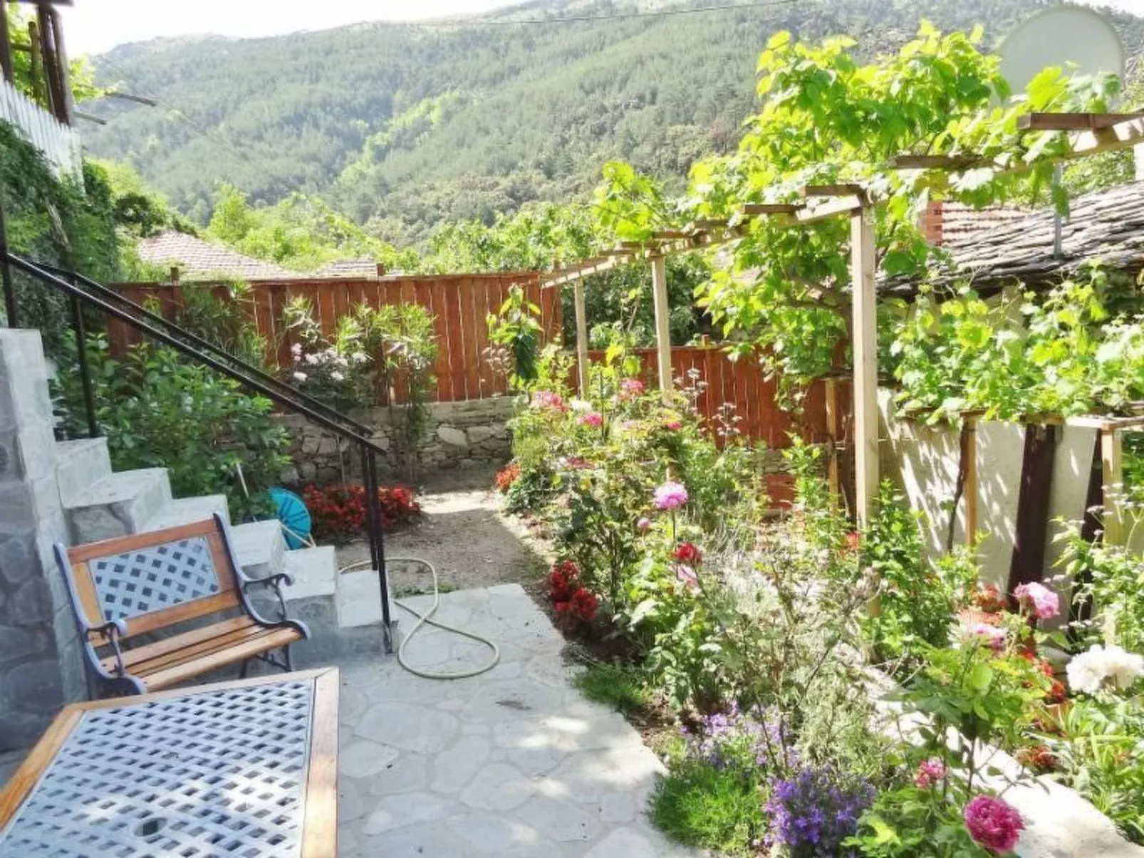 Villa Daphne-Draußen