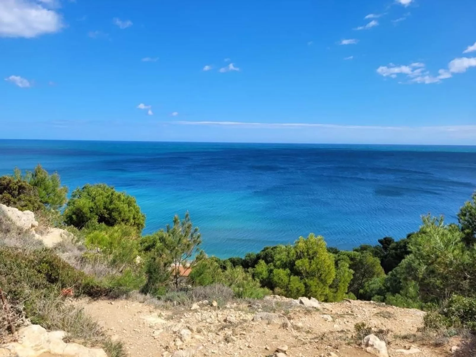 The Olive Retreat-Image-tags.info