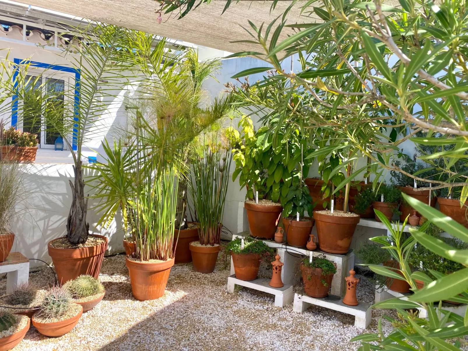 Vila Verão Nur für Erwachsene-Draußen