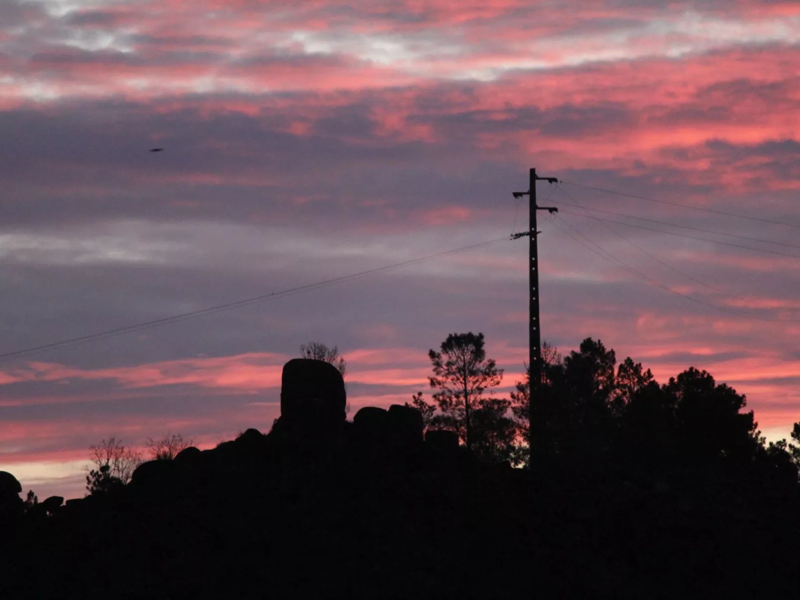 Ferien auf dem Bauernhof mit Weinberg-Outside