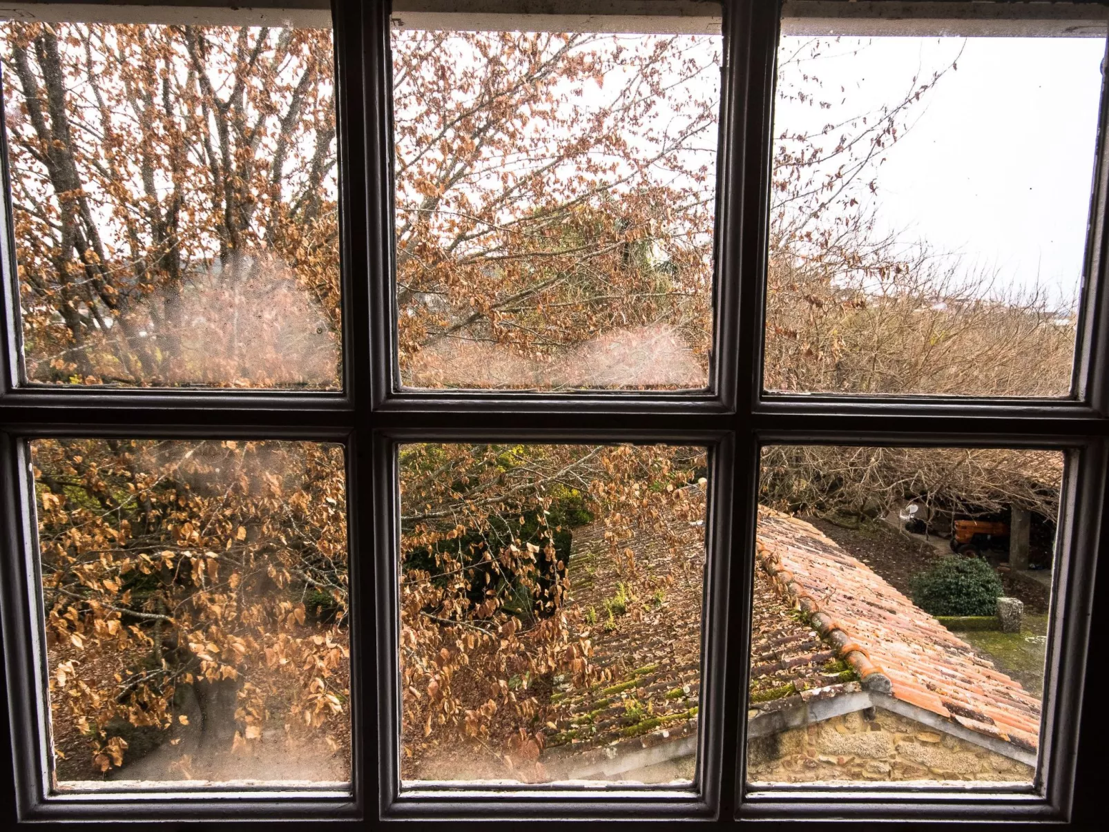 Finca "Quinta do Bento Novo"-Outside