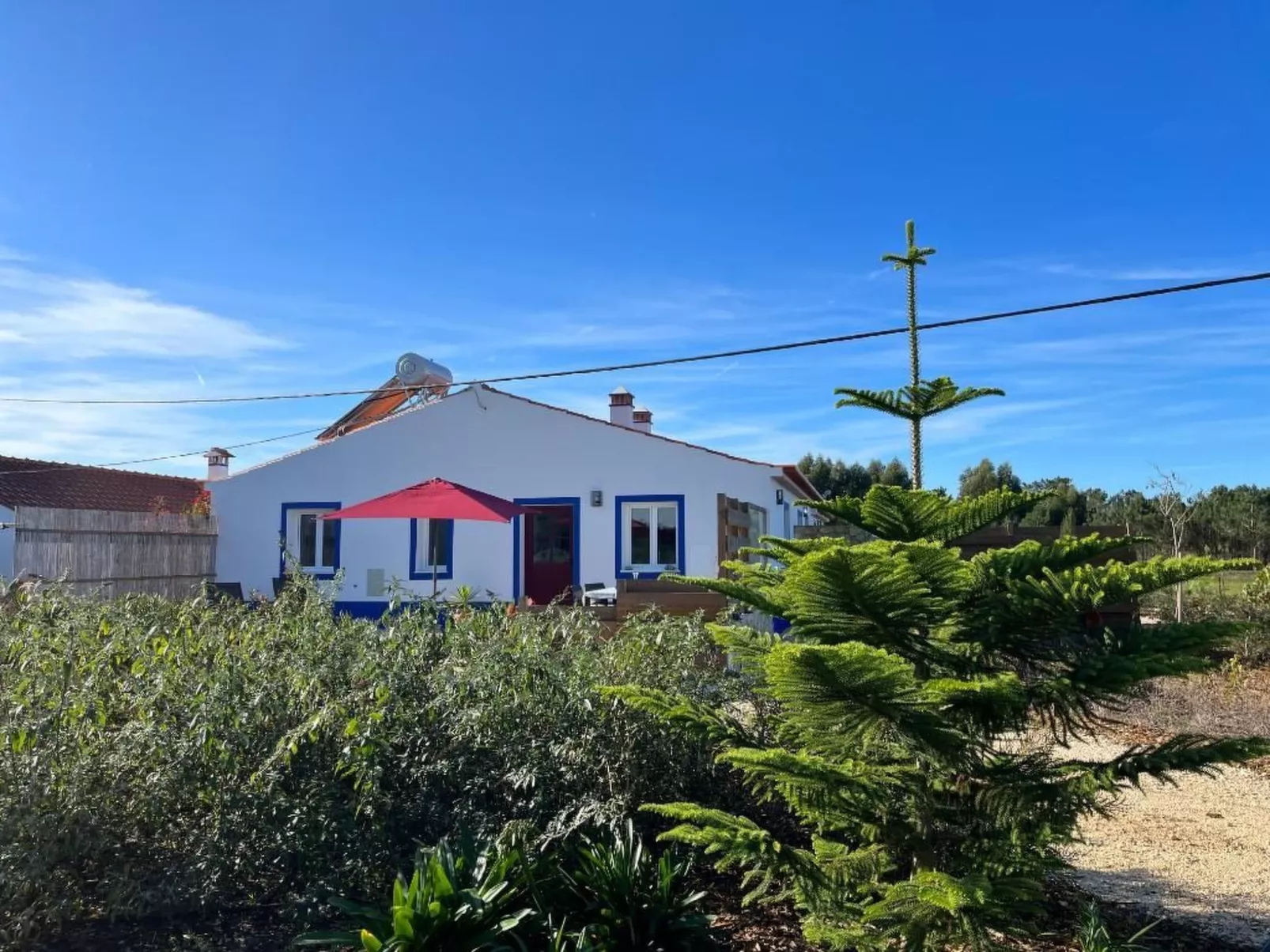 Auf dem Lande in der Nähe des Strandes-Outside