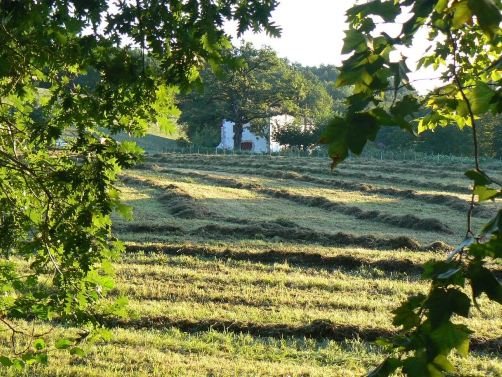 Fewo mit Terrasse-Outside