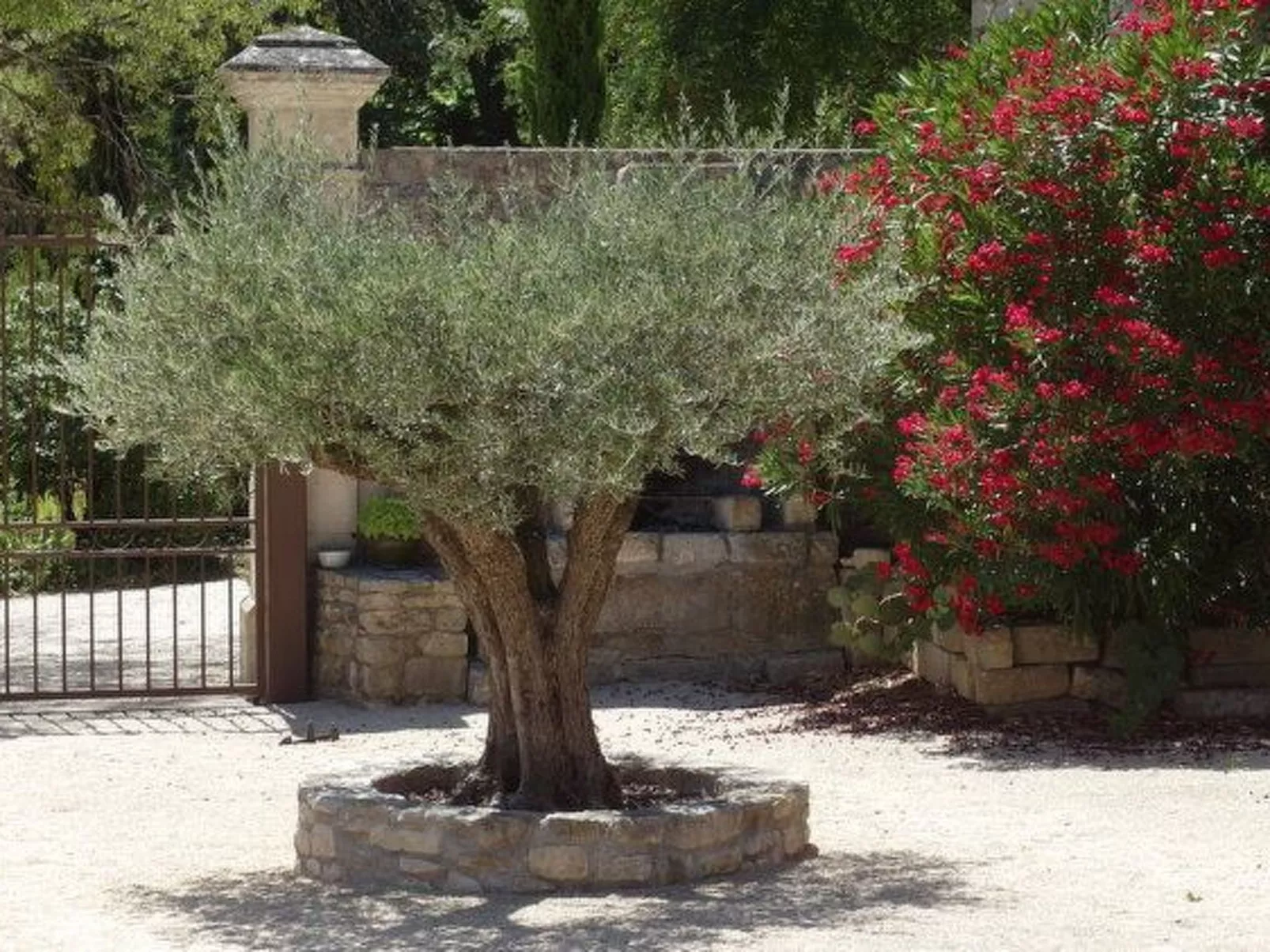Domaine "Suite Margot" mit Infinity-Pool-Outside