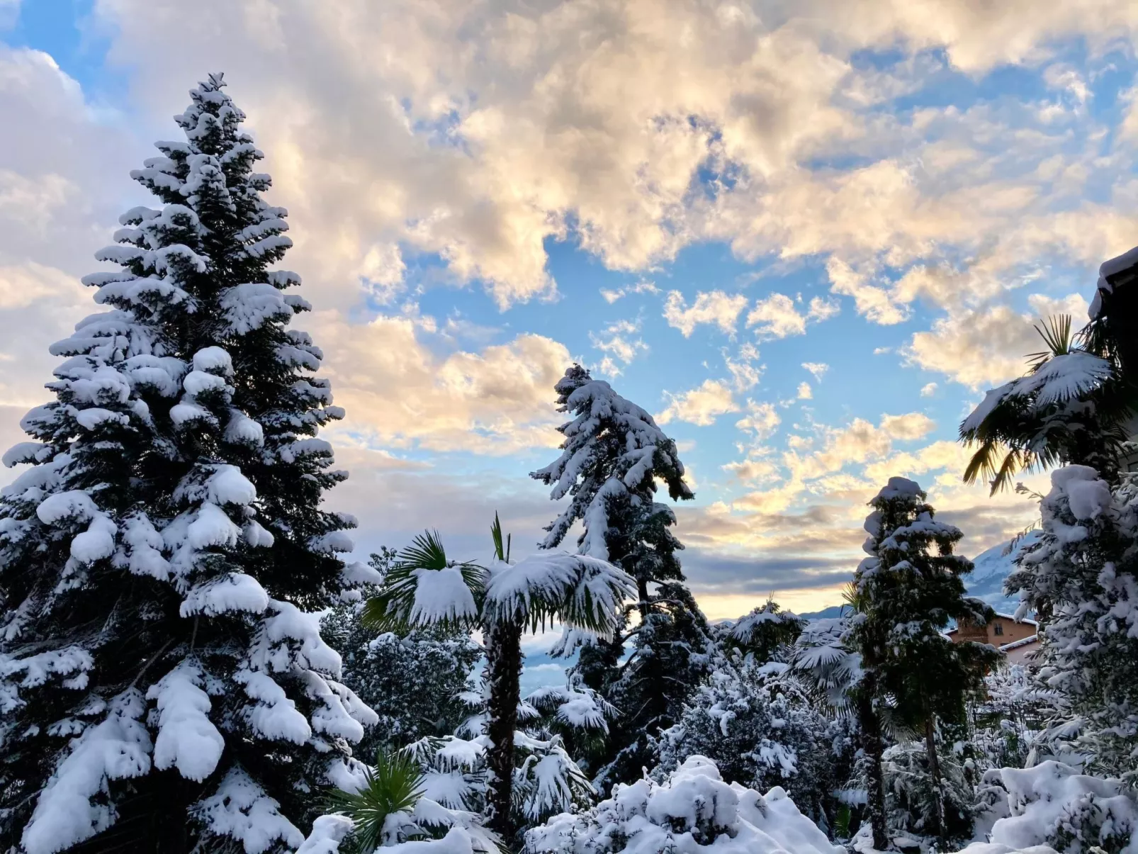 Casa Reduit Giardino-Draußen