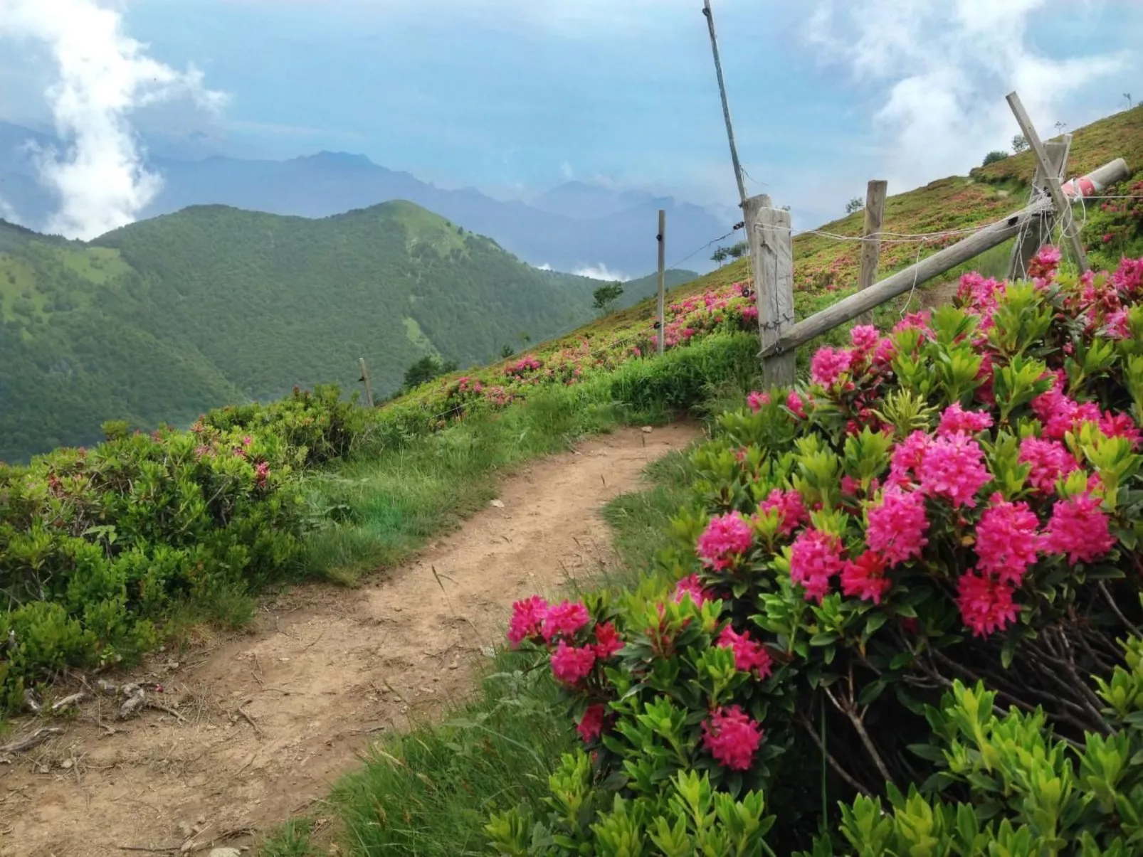 Wohlfühlort-Outside