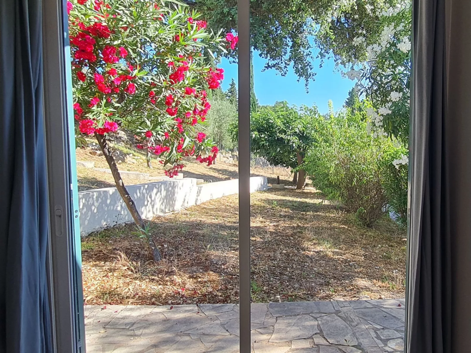 Im Herzen der Weinberge, schattige Terrasse umgeben von Grün, Pool - Draußen