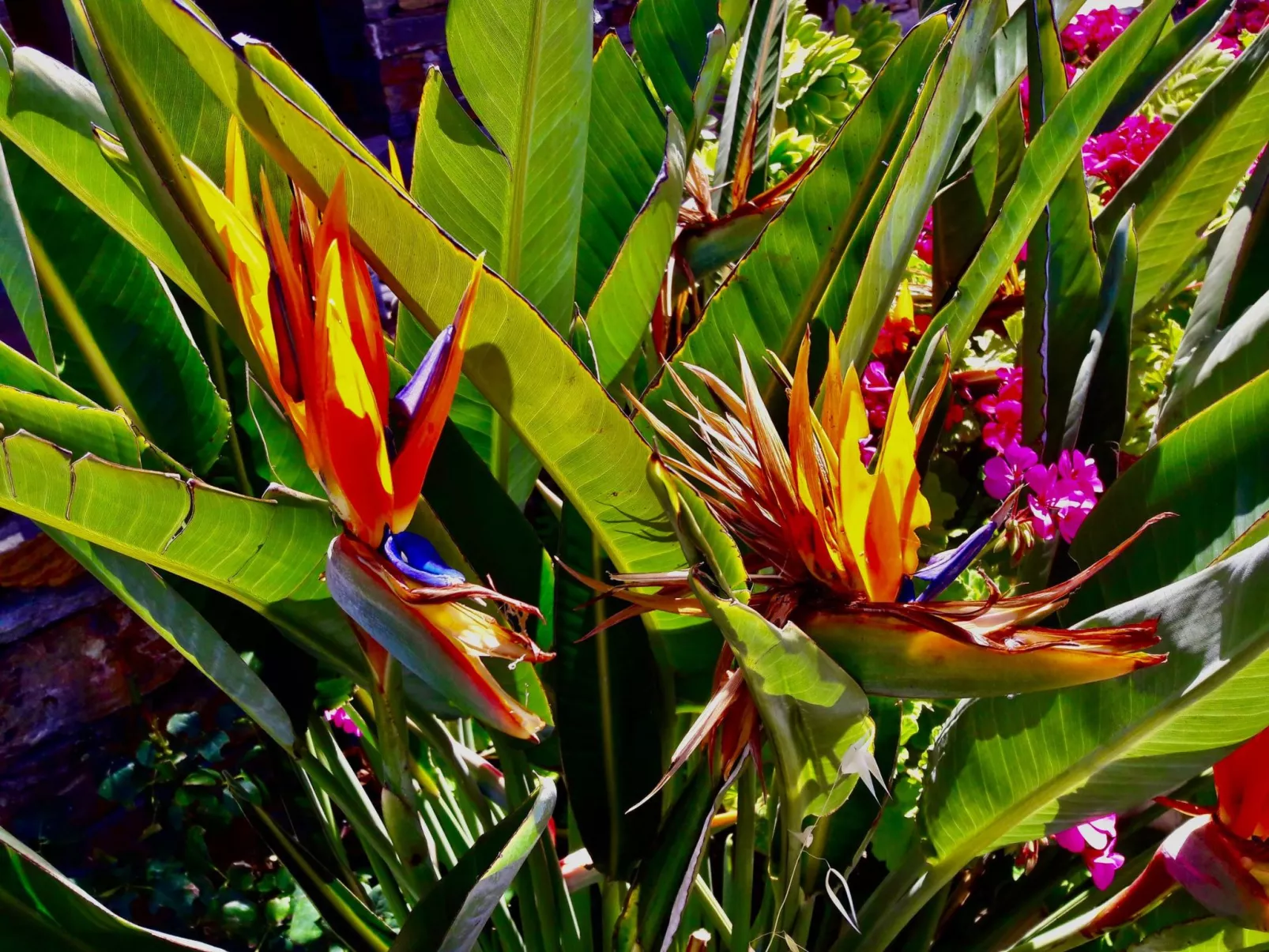 Luxuriöse, ruhige Wohnung direkt am Meer - Privatstrand-Outside