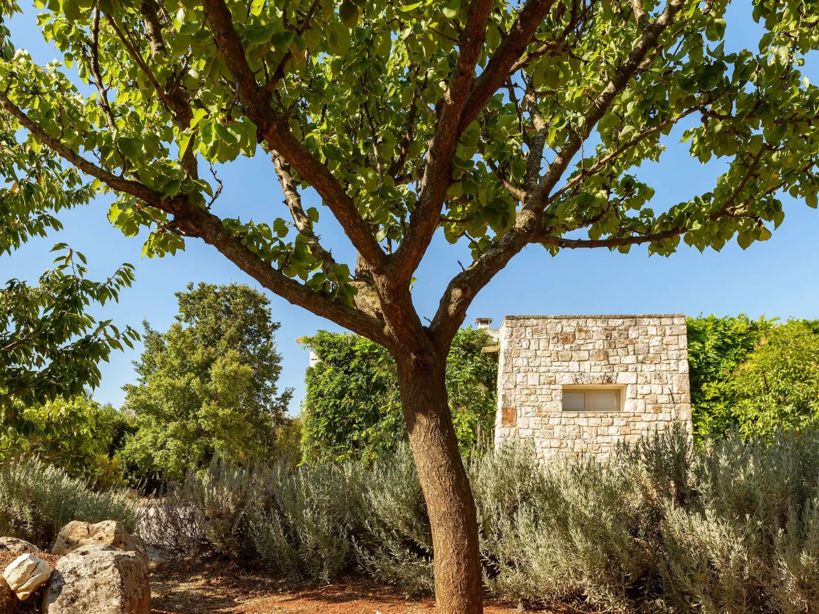 In Ostuni mit Privatem Pool-Outside