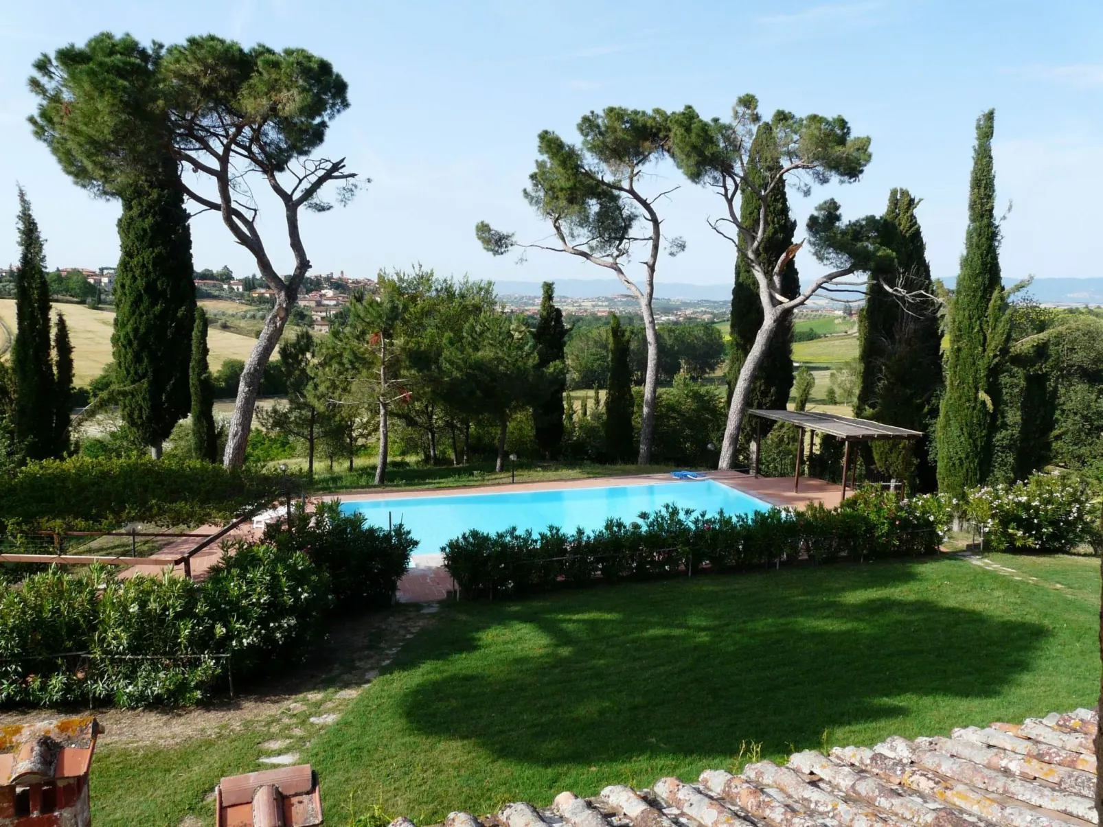 "Lavanda castellett-Image-tags.info