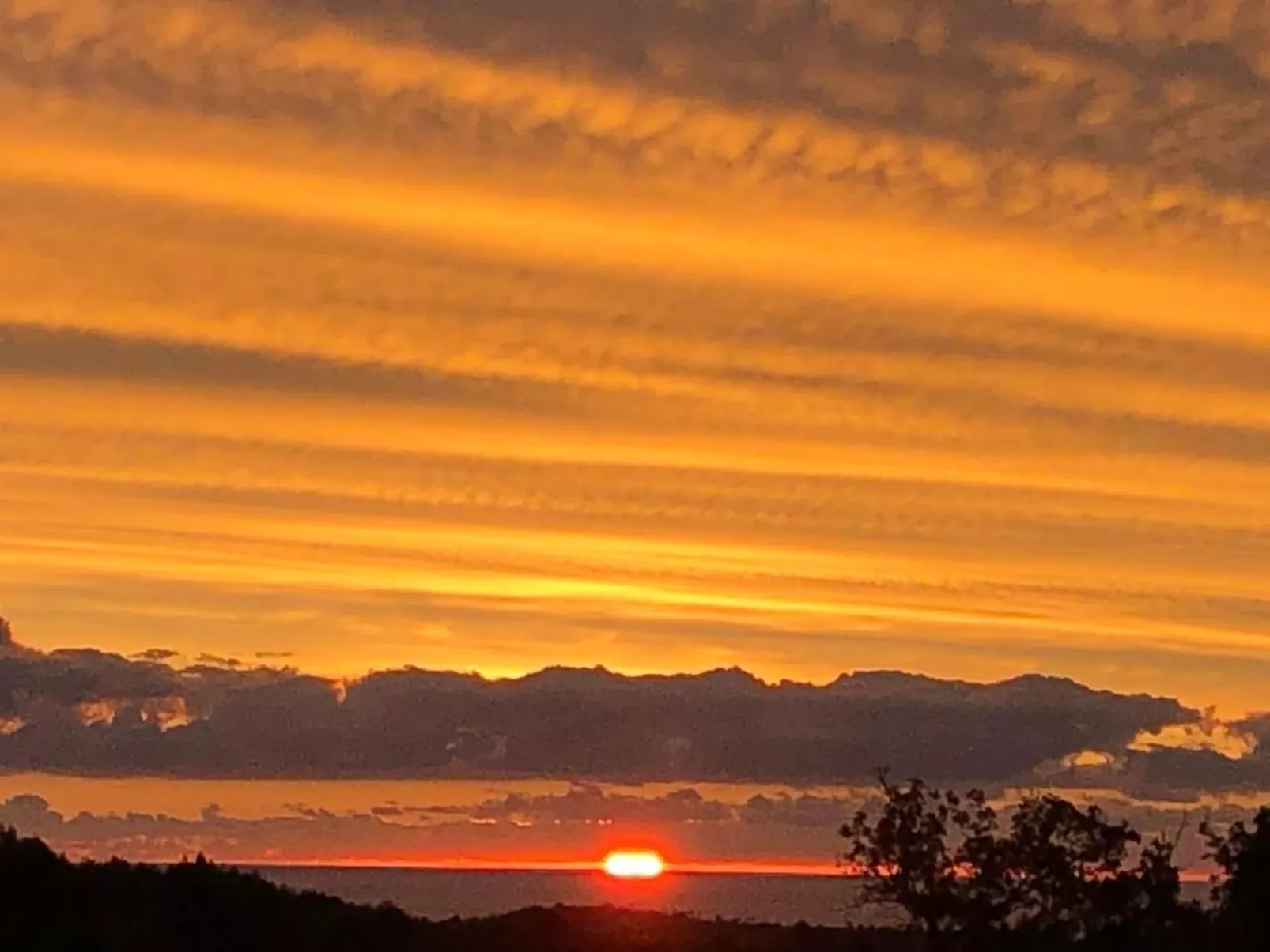 Côte d'Azur ganze Villa beheizter Pool Meerblick-Draußen