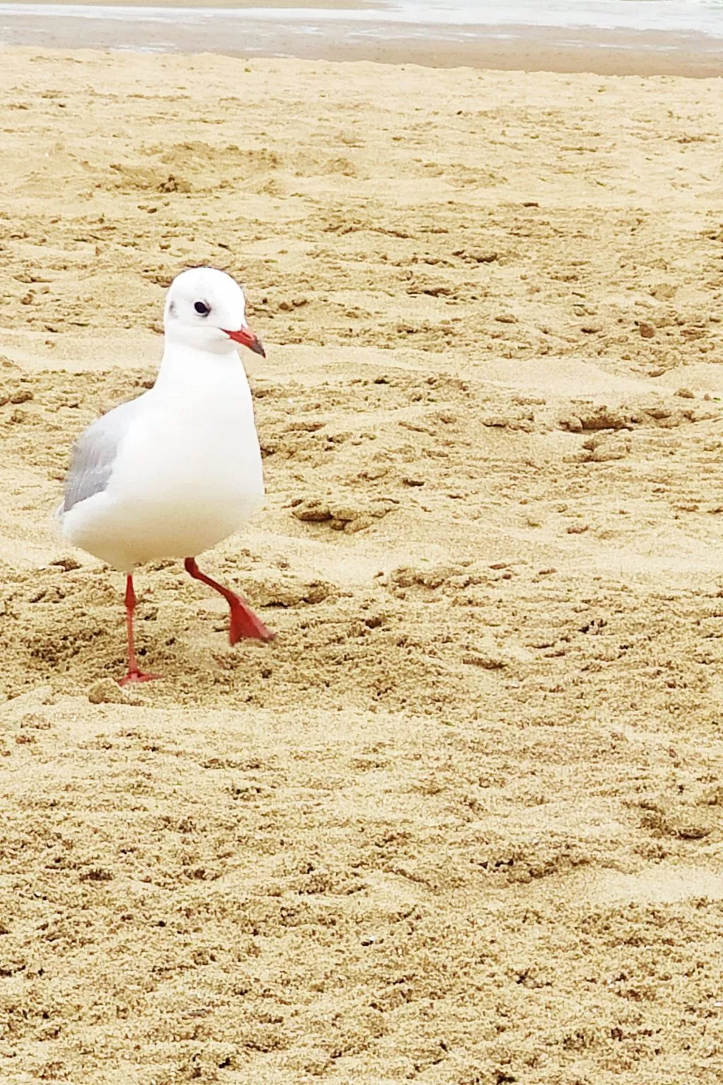 Unterkunft 4 Escapade Normande Les Althéas-Outside