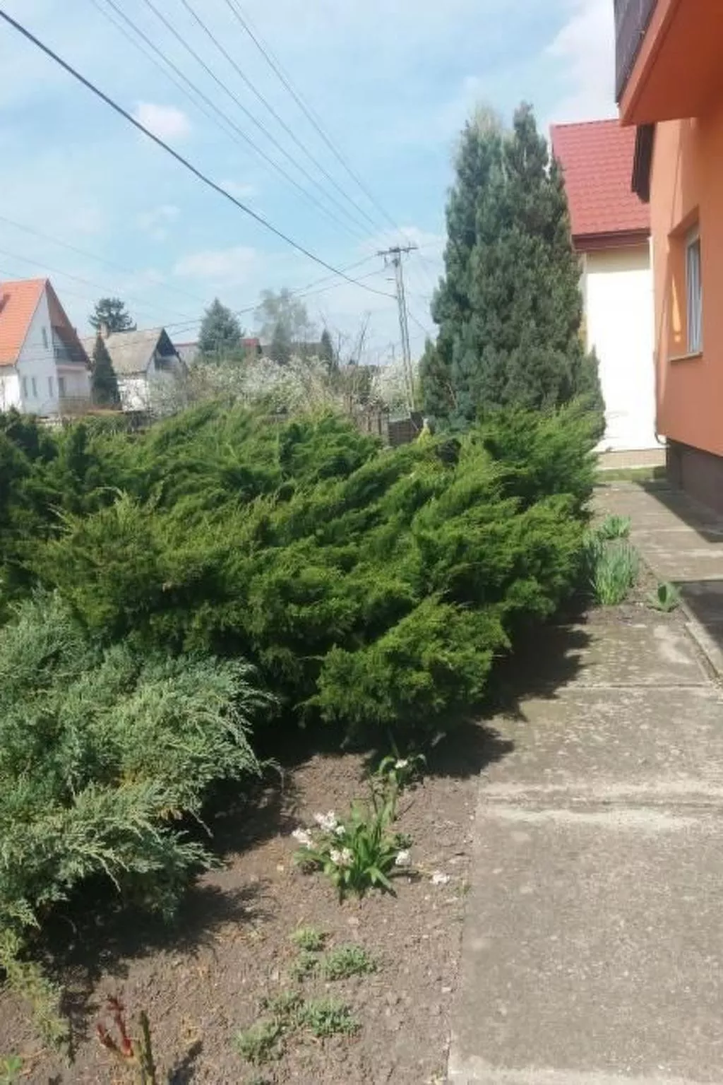 Mit Terrasse, Garten und Grill-Image-tags.info