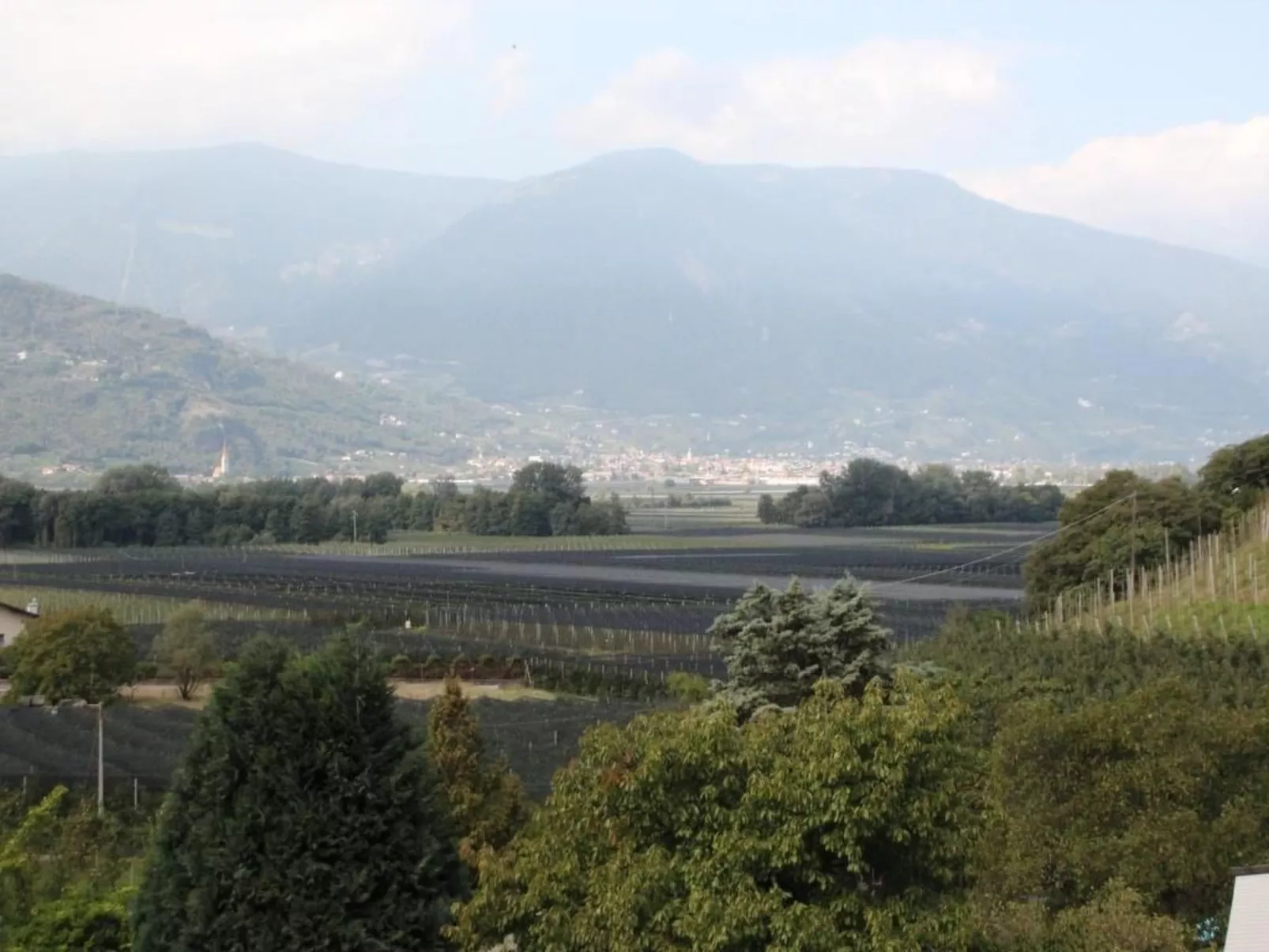 Residence Olivi - Luxury Apartment Penthouse-Dehors