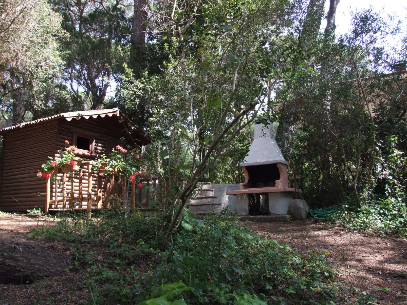 'Azalea' mit Terrasse-Outside