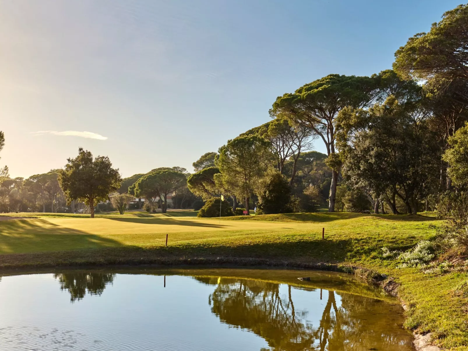 Dolce Vita da Elena-Image-tags.info