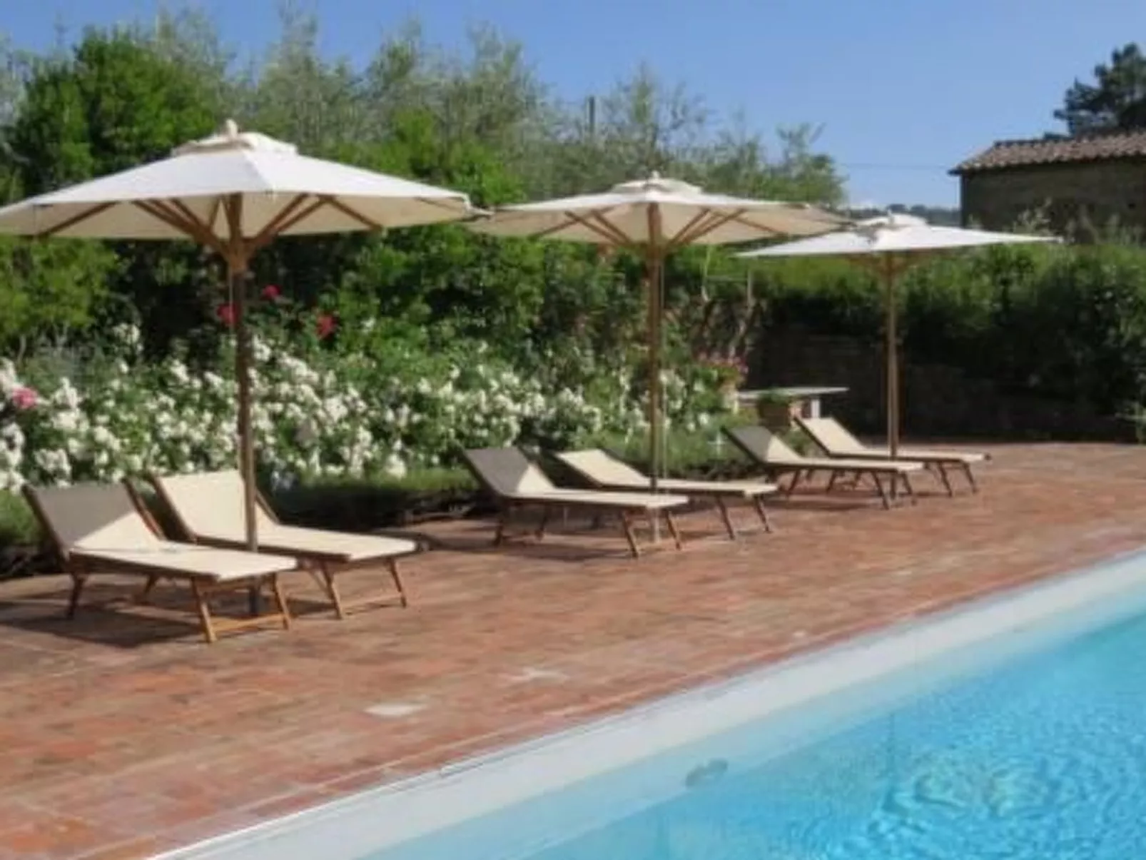 Podere Campolungo - Lo Studio-Outside