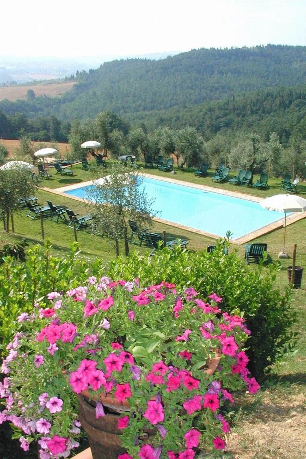 "Ciclamini capponi-Dehors