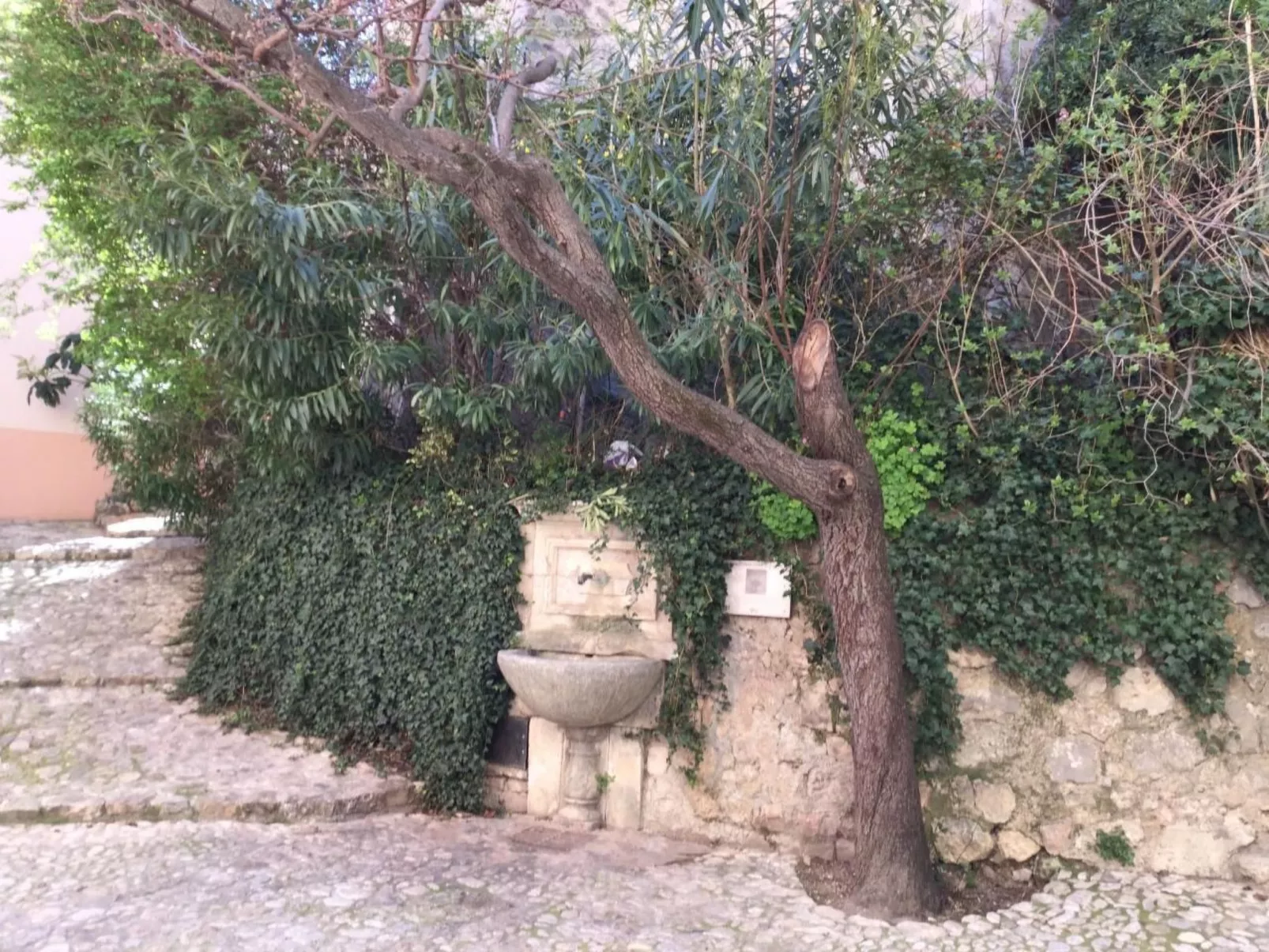 "Meline" mit Aussicht-Draußen